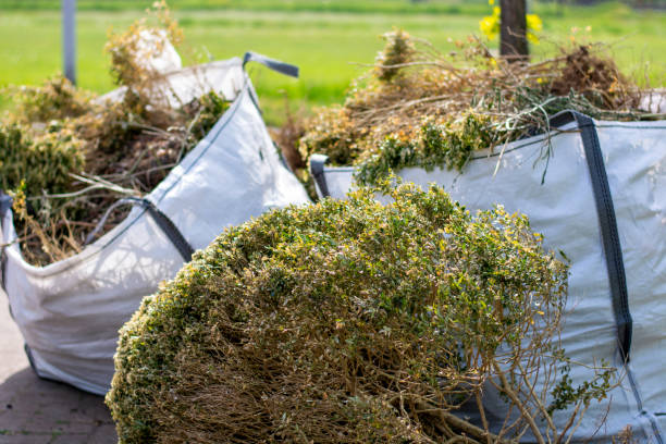 Best Hoarding Cleanup  in New Canaan, CT